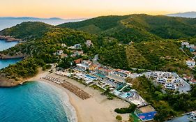 Trypiti Resort Blue Dream Palace And Hive Water Park